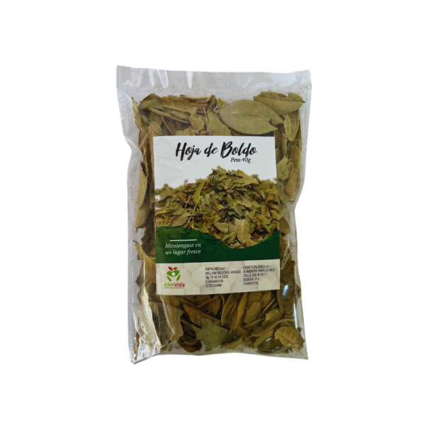 hojas de boldo